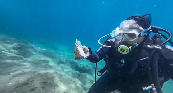 Bu hata denizlere zarar veriyor