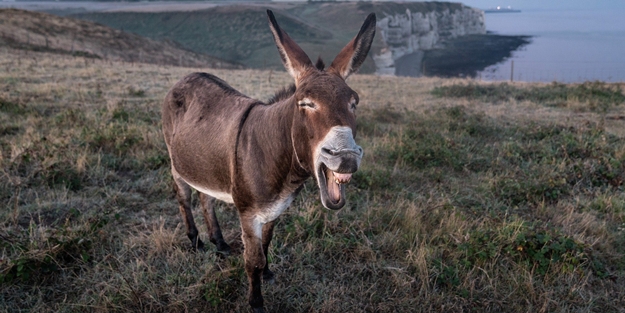 Bu hataları sakın yapmayın! Yanlış bilinen atasözleri ve deyimler