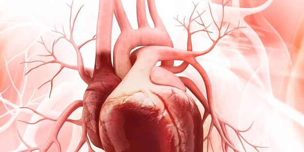 Bu hatayı 7’den 70’e herkes yapıyor! Grip kalp krizi riskini tetikliyor: İçtikten sonra 10 bin adım atın! Kullanın