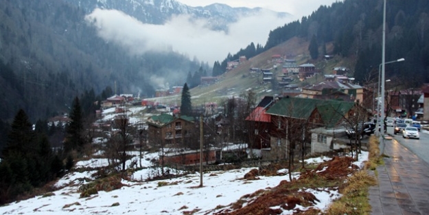 Bu ilçede her 13 kişiden biri aynı suçu işledi