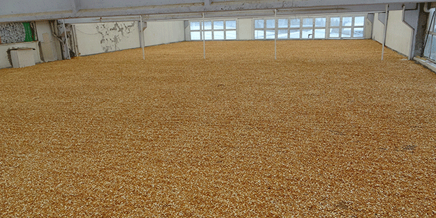 Bu ilimizin rakibi yok! Türkiye’de üretiliyor tüm Avrupa alıyor