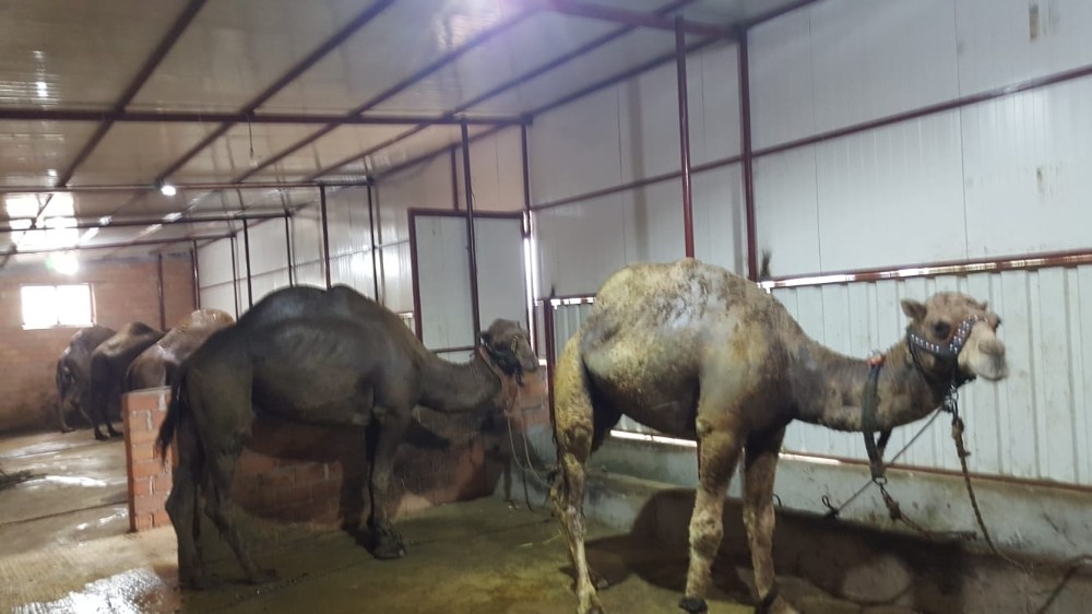 Bu insanların ne yaptığını öğrenince şaşıracaksınız 