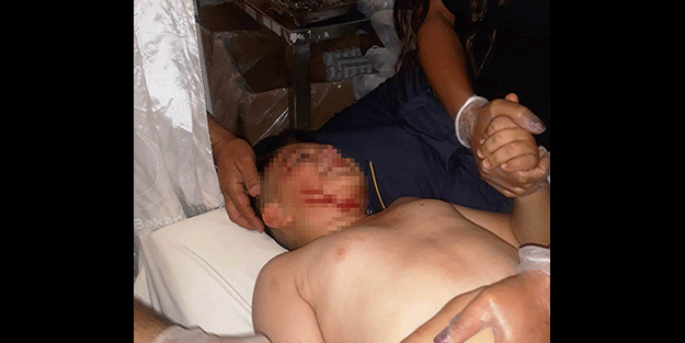 Bu işin sonu kötüye gidiyor! Bir başıboş köpek dehşeti daha