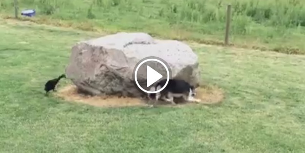 Bu işte bir terslik var