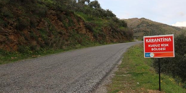 Bu kaçıncı! Bir ilimizde daha kuduz alarmı!