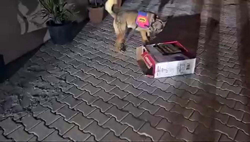 Bu kadar da olmaz! Elektrik ısıtıcına bakın ne saklanmış