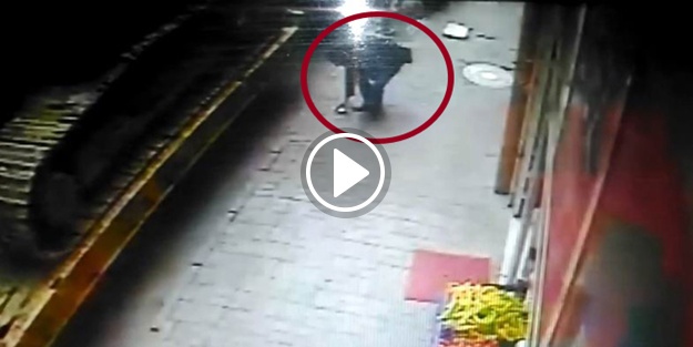 Bu kadarına da pes!