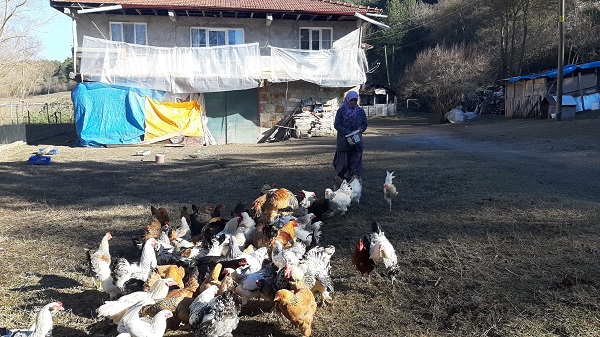 Bu kadarını kendileri bile beklemiyorlardı! Hobi olarak başladı ama sonuç müthiş