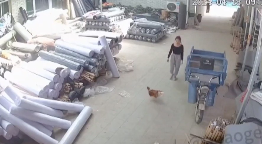 Bu kadın kafayı yemiş olmalı! Şu manyaklığa bakın hele şu manyaklığa