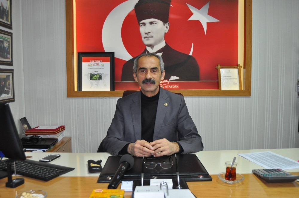 Bu kar fındığa iyi geldi 