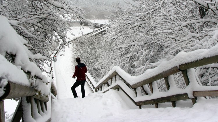 Bu kare bugün çekildi! 20 cm oldu