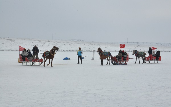 Bu kareler çok konuşulur! Çıldır Gölü'nden ilginç görüntüler