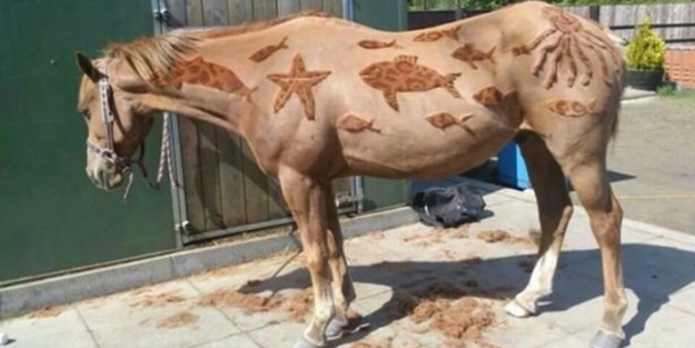 Bu kareler photoshop değil! - FOTO