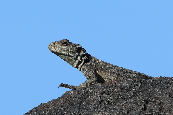 Bu kareler Türkiye’de çekildi!