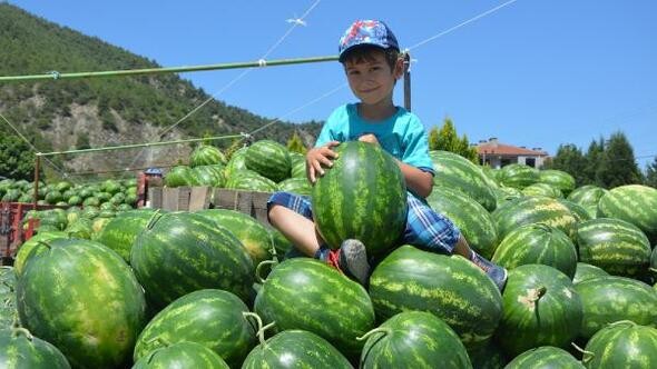Bu karpuzun tarihi eski Mısırlılara uzanıyor 