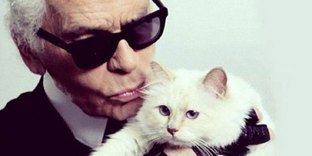 Bu kedi 8 milyon lira kazandı!