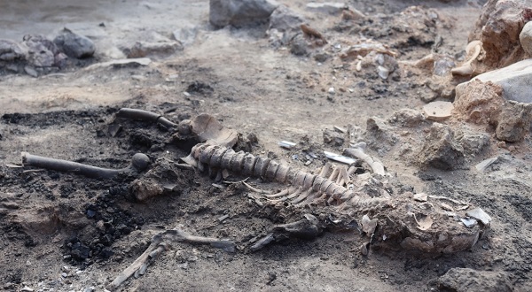 Bu keşif çok konuşulur! Bakın “Kütahya'nın kalbi”nde ne bulundu