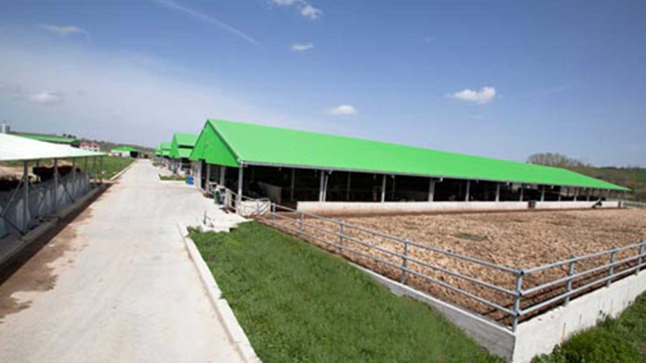 Bu kez güzel haber! Dev firma iflastan kurtuldu