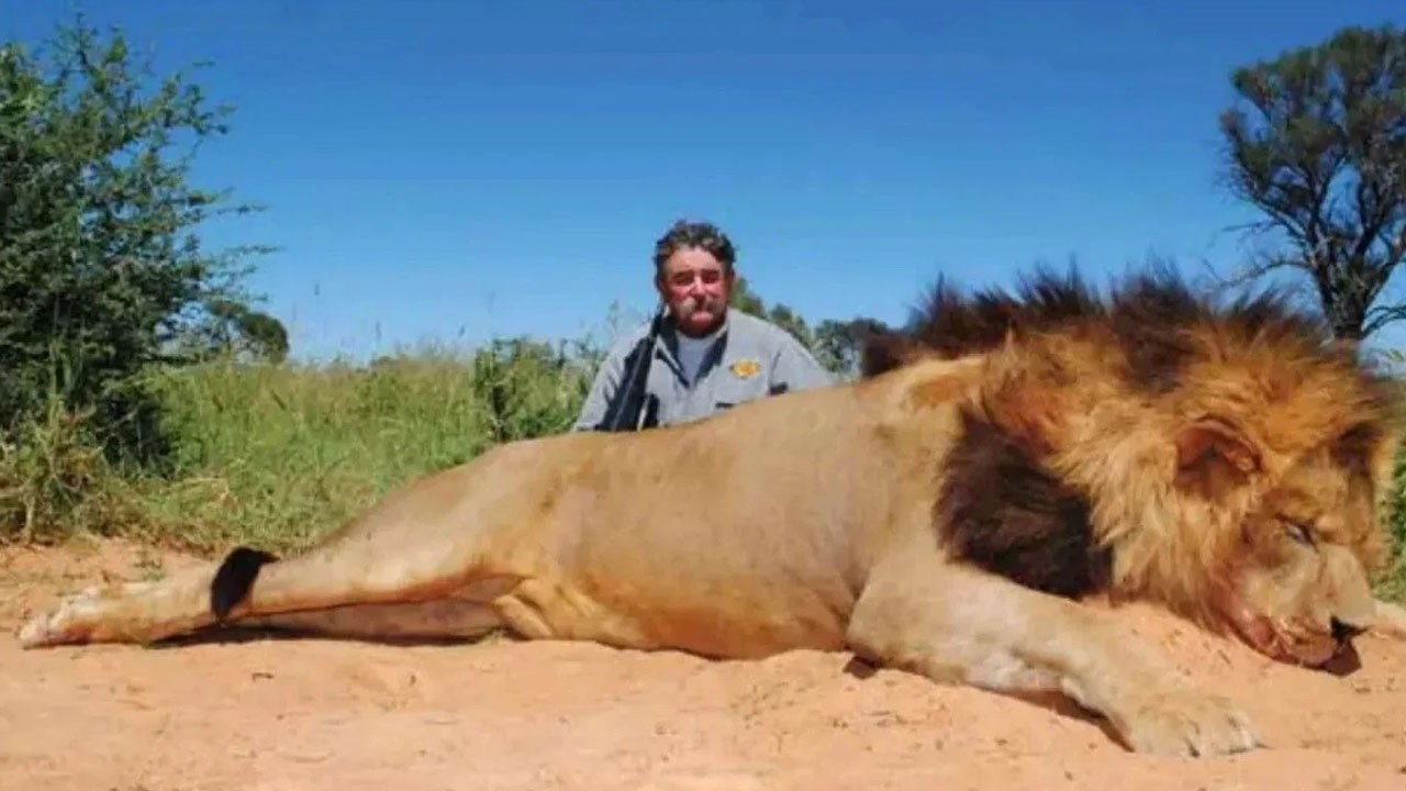 Bu kez kendisi av oldu! Av meraklısı ünlü milyoneri filler ezip öldürdü