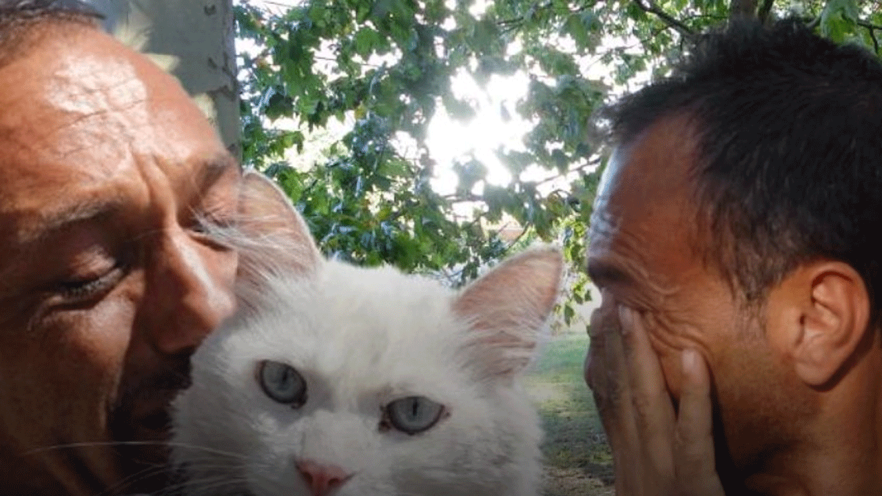 Bu kez mutluluktan ağladı: Kayıp kedisine kavuştu!