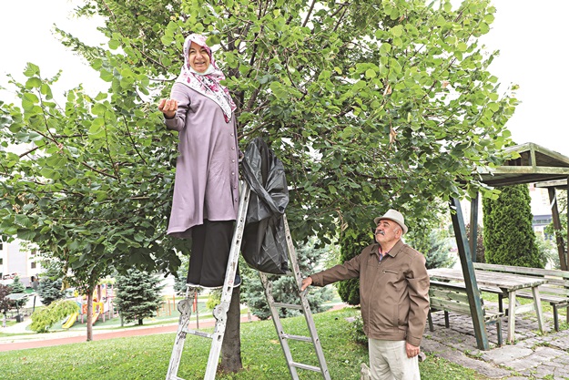 Bu kış ıhlamurlar Talas Belediyesi’nden!