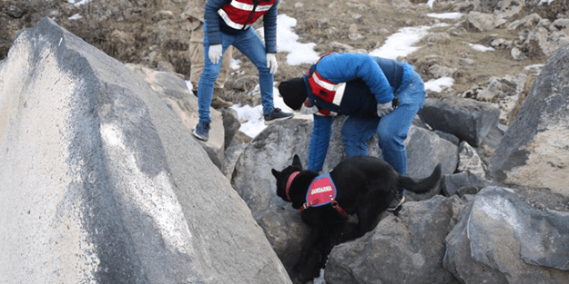 Bu köpek şahane! Kayalıklarda 2,5 kilo eroin buldu