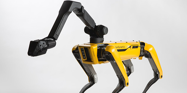 Bu köpekler kapıda açacak merdivende çıkacak!