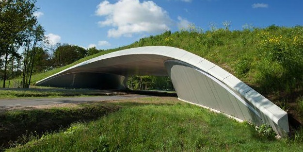 Bu köprülerin bilinenden farklı bir kullanım amacı var!