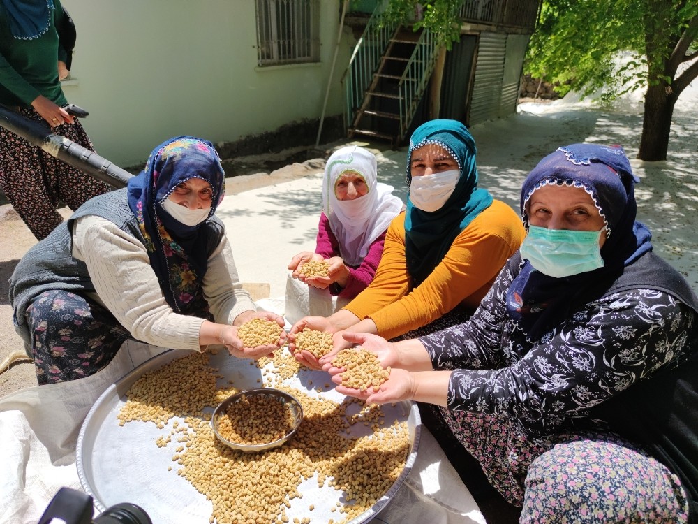 Bu köy dünyaya dut ihraç ediyor 