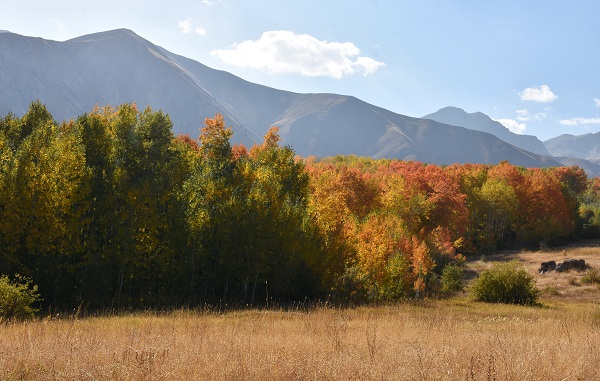 Bu köy sonbaharda başka güzel