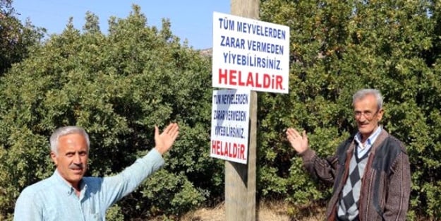 Bu köyde meyve ağaçlarından yemek helâl. Ama bir şartla...