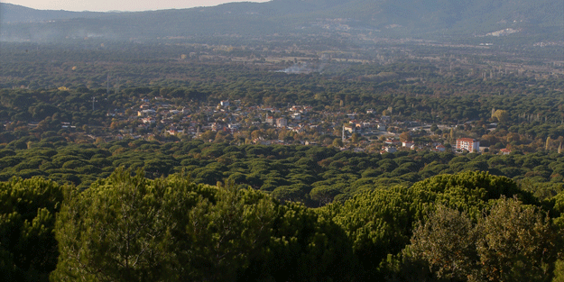 Bu köydekiler Avrupa ortalamasının üzerinde para kazanıyordu ancak..