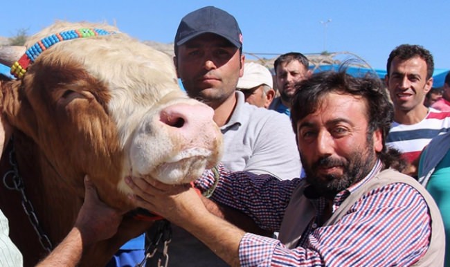 Bu kurbanlıkla selfie çekmek ücretli