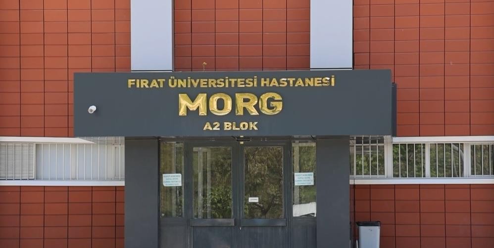 Bu magandalık son bulsun artık! Cehaletin faturası minik Nisa’ya çıktı