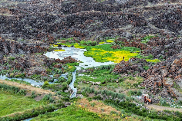 Bu manzara başka ülkede değil Türkiye’de