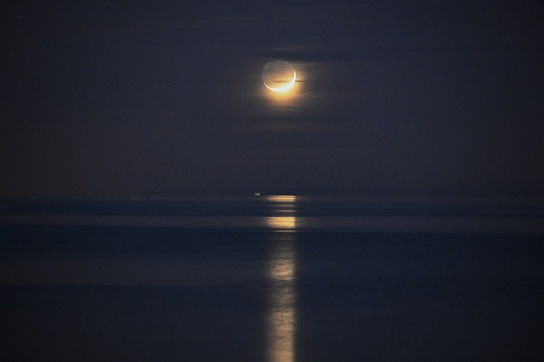 Bu manzara görenleri mest etti