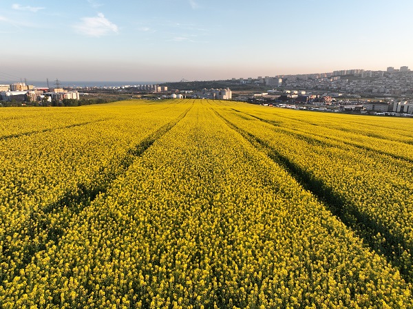 Bu manzara herkesi mest etti