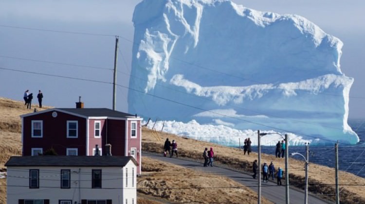 Bu manzara karşısında şok oldular!