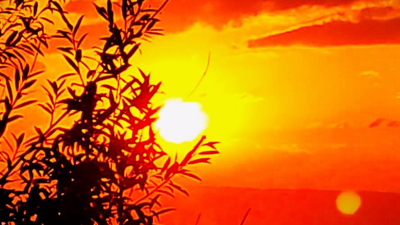 Bu manzaraya hayran kalmamak elde değil