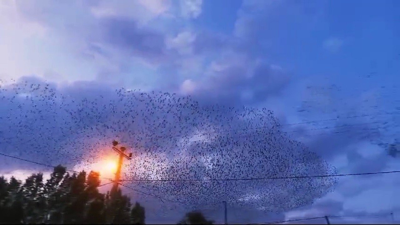 Bu manzaraya hayran kalmamak mümkün değil