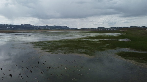 Bu manzaraya hayran kalmamak mümkün mü?