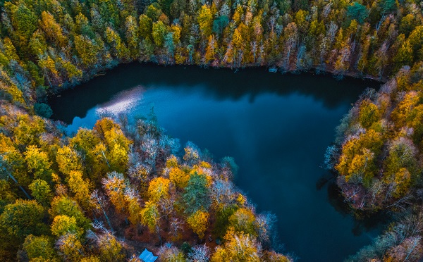 Bu manzaraya herkes hayran kalıyor