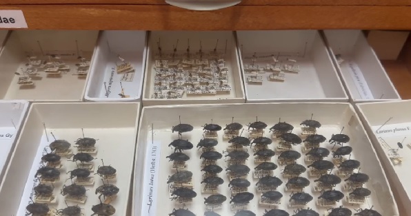 Bu müzeye girmek bazılarını ürkütüyor