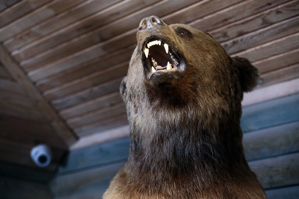 Bu müzeyi 10 yılda 5 milyon 760 kişi ziyaret etti