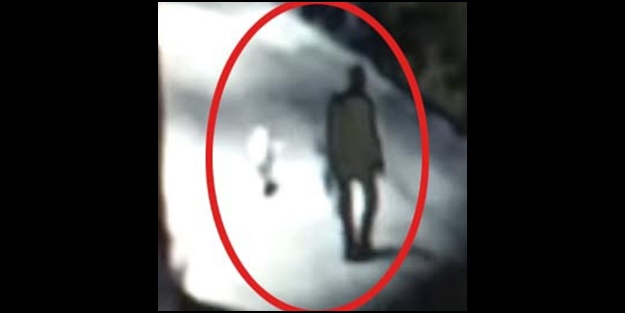 Bu nasıl doktor? Sokak köpeğini pompalıyla katletti! Verilen ceza pes dedirtti