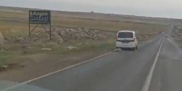 Bu nasıl insanlık! Aracın arkasına bağlayarak kilometrelerce sürükledi