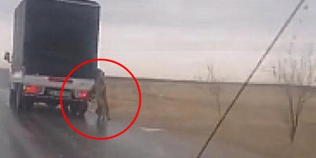 Bu nasıl insanlık! Kan donduran manzara