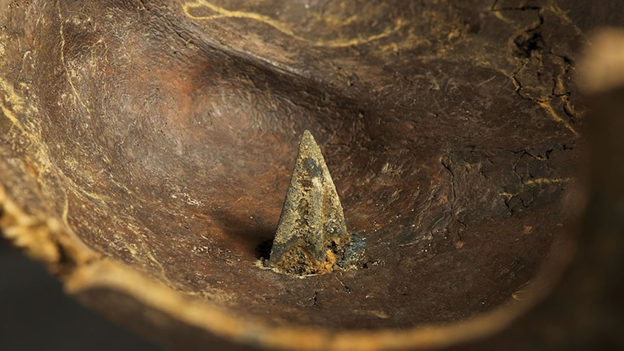 Bu ok uçları! Almanya ülkesinde tespit ettiler: 3.250 yıllık büyük bir savaş hakkında bilgi veriyor