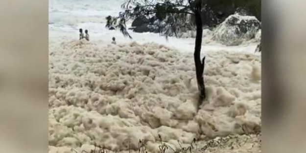 Bu olay nadiren görülüyor! Halk sahillere akın etti