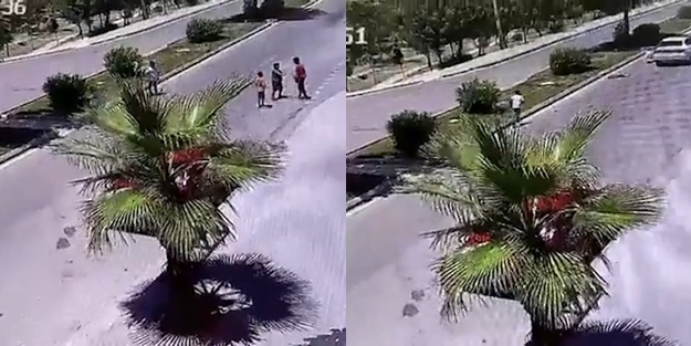 Bu organize terörü durdurun! Başıboş köpeklerin saldırdığı 2 çocuktan kötü haber